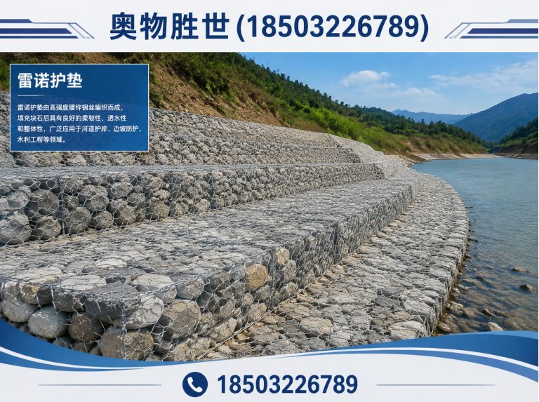 昌都雷诺护垫展示图